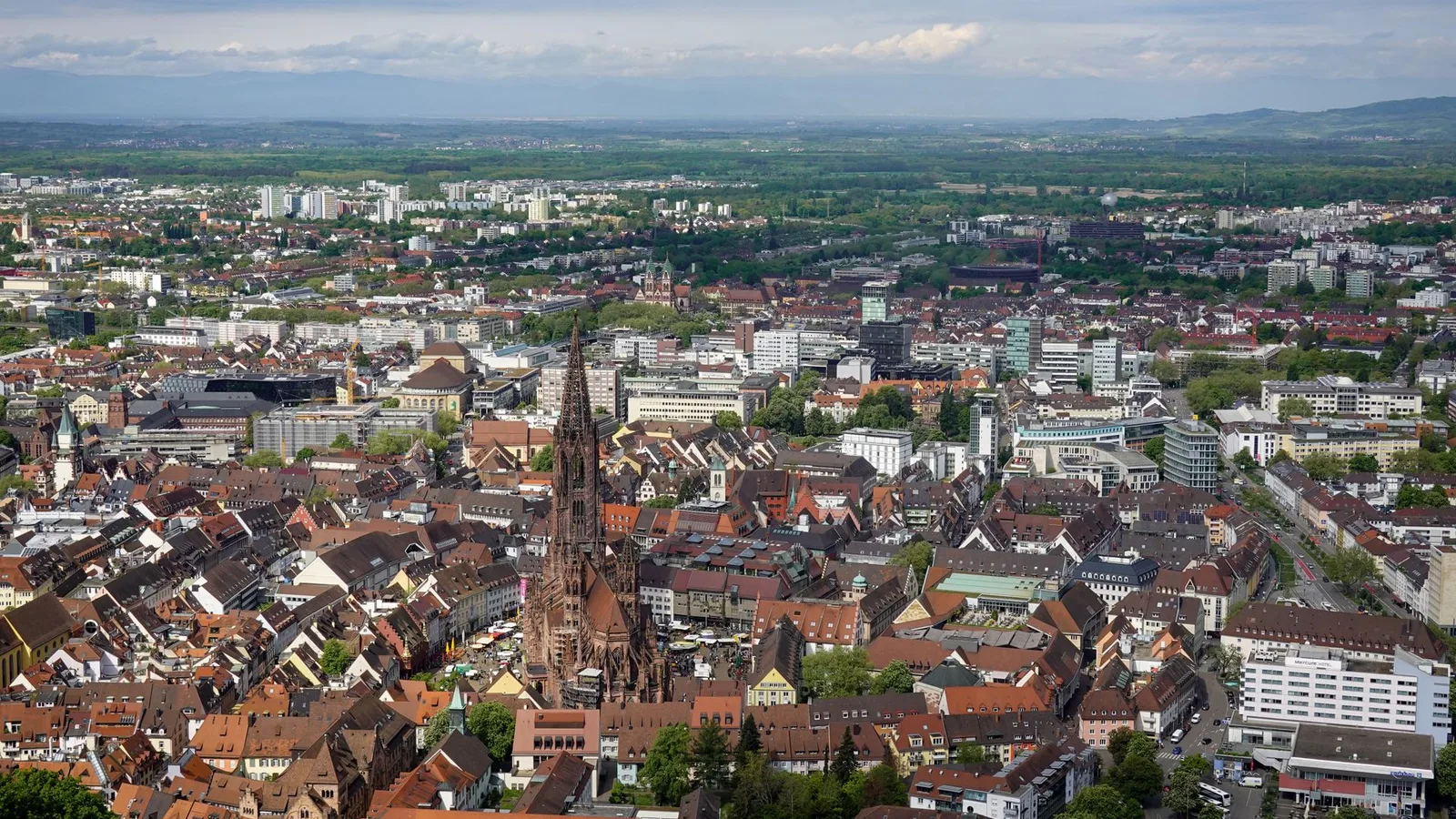 Freiburger Münster über der Altstadt – Zahnmedizinstudium in Freiburg