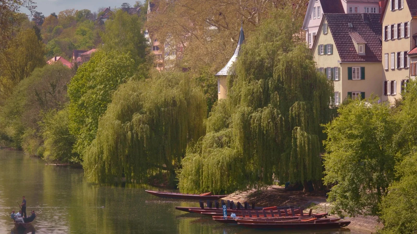 Neckarfront mit Hölderlinturm in Tübingen – Zahnmedizinstudium in Tübingen